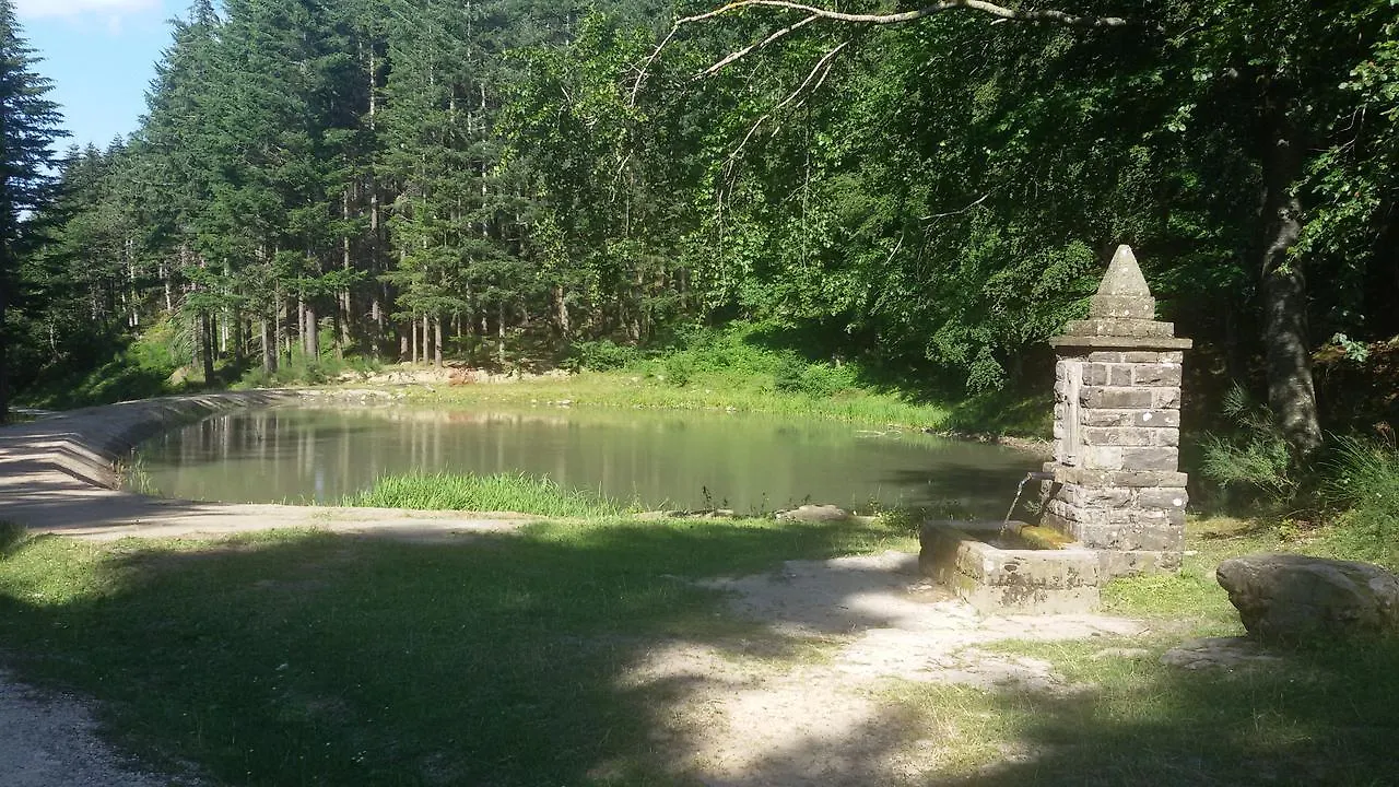 Appartamento Acquapartita Bagno di Romagna 0*,